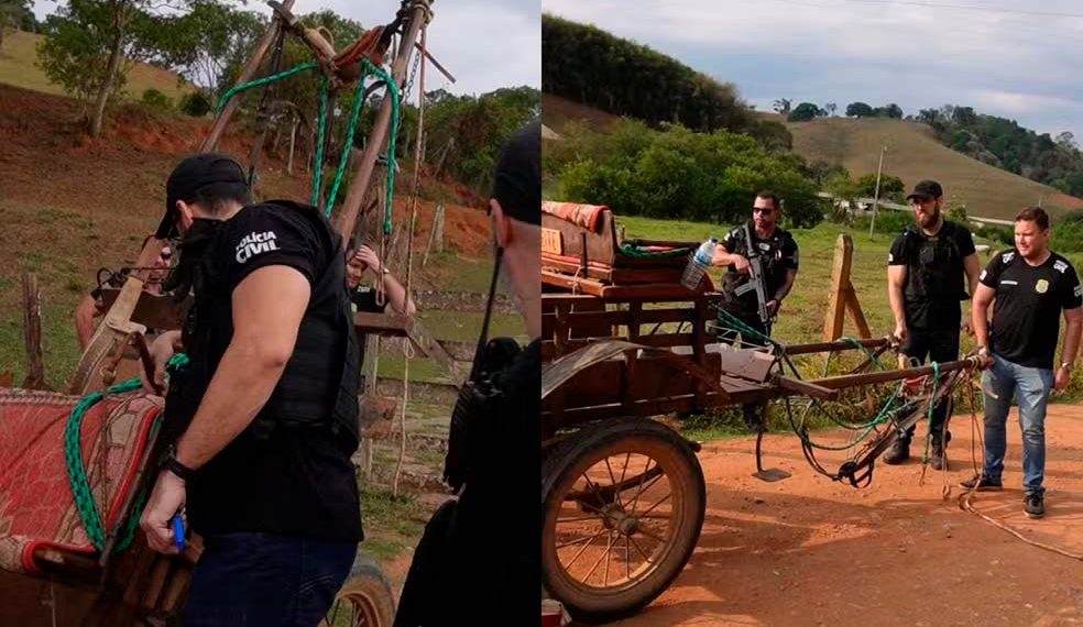 Polícia realiza buscas na casa de suspeito de arrastar cachorro em charrete no Sul de Minas