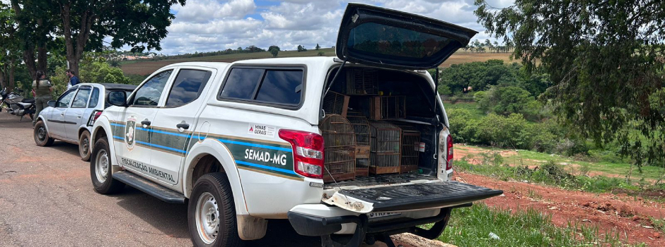Fiscalização identifica cativeiro e apreende 212 aves silvestres em Alfenas