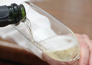 Vinícola da Epamig, em Caldas, auxilia na produção de espumante premiado