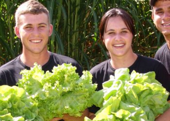 Abertas inscrições para o programa Futuro no Campo para jovens agricultores