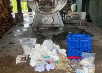 Polícia Civil incinera 65 kg de drogas apreendidas em cidades do Sul de Minas