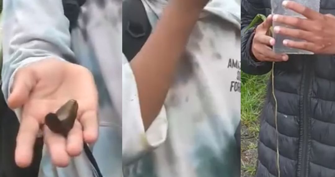 VÍDEO: adolescente é obrigado a comer lesma e beber água com cuspe em Poços