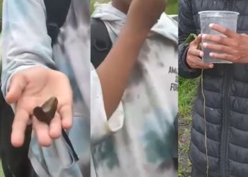 VÍDEO: adolescente é obrigado a comer lesma e beber água com cuspe em Poços