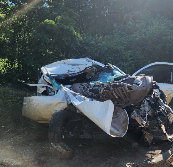 Acidente fatal entre caminhonete e caminhão na MGC-267 no Sul de Minas