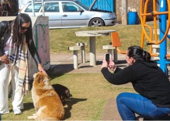 Oficinas gratuitas de fotografia e escrita criativa estão com inscrições abertas em Poços de Caldas