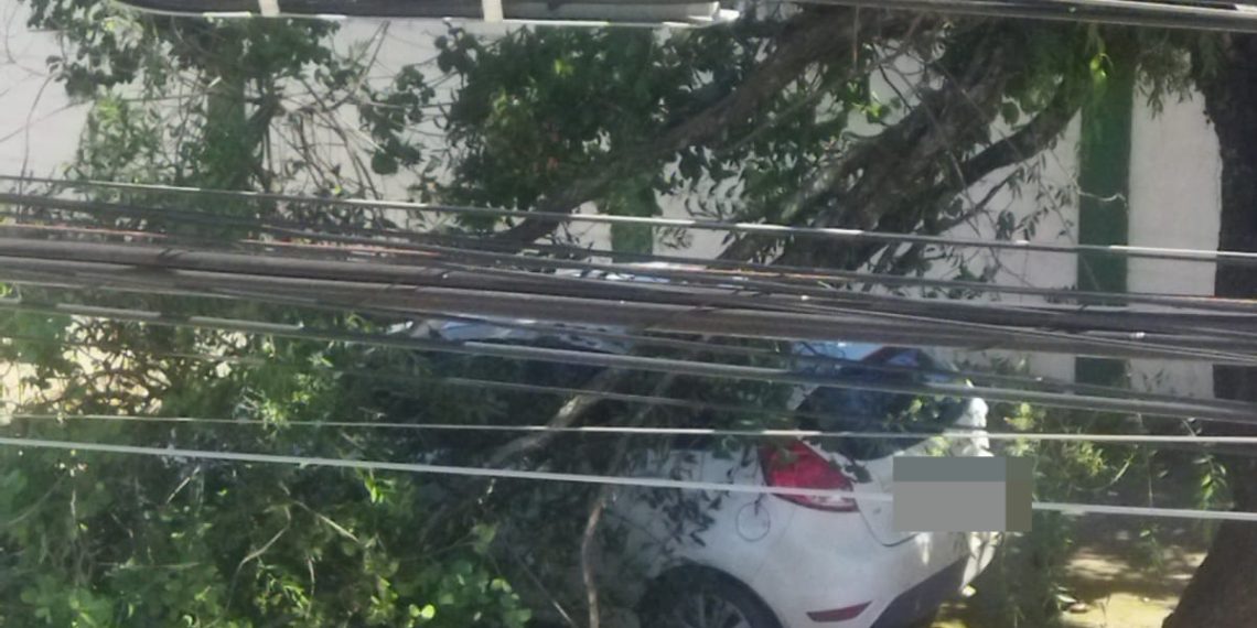 Galho de árvore cai sobre veículo em Poços de Caldas