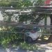 Galho de árvore cai sobre veículo em Poços de Caldas