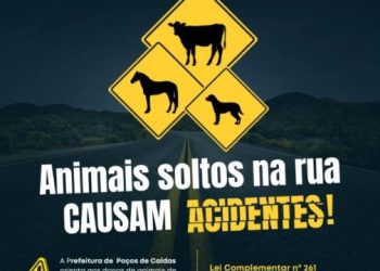 Prefeitura de Poços de Caldas sanciona lei para controle de animais soltos nas ruas