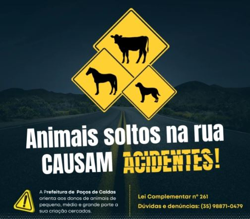 Prefeitura de Poços de Caldas sanciona lei para controle de animais soltos nas ruas