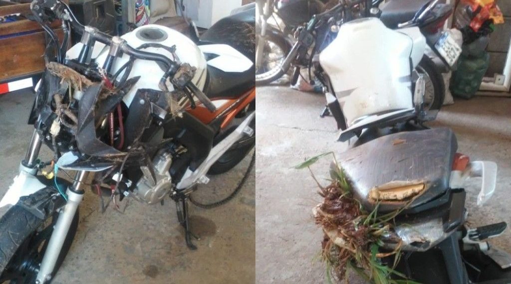 Motociclista se acidenta após atropelar capivara em São João da Boa Vista
