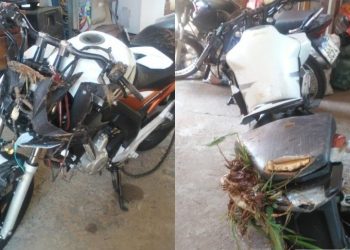 Motociclista se acidenta após atropelar capivara em São João da Boa Vista