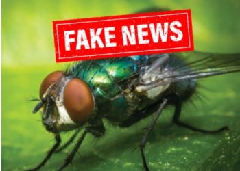 Secretaria de Saúde alerta sobre falsa informação sobre transmissão de tuberculose