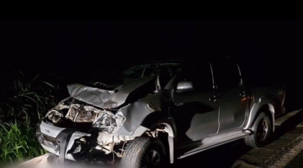 Vacas causam acidente de carro em Andradas