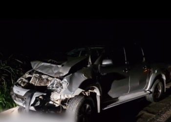 Vacas causam acidente de carro em Andradas