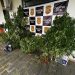 Homem é preso com plantação de maconha em casa no Leste Paulista