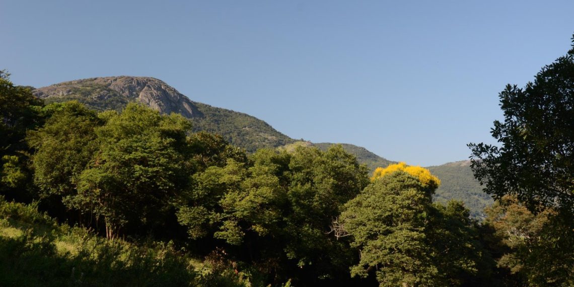 Câmara de Caldas vota projeto de lei que reconhece Serra da Pedra Branca como sujeito de direitos