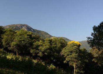 Câmara de Caldas vota projeto de lei que reconhece Serra da Pedra Branca como sujeito de direitos