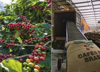 Acordo entre Mercosul e União Europeia beneficiará Agronegócio Mineiro