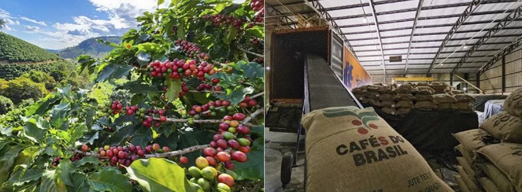 Acordo entre Mercosul e União Europeia beneficiará Agronegócio Mineiro