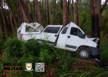 Motorista fica ferido após desviar de buraco e colidir com eucalipto em Bandeira do Sul