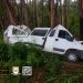 Motorista fica ferido após desviar de buraco e colidir com eucalipto em Bandeira do Sul