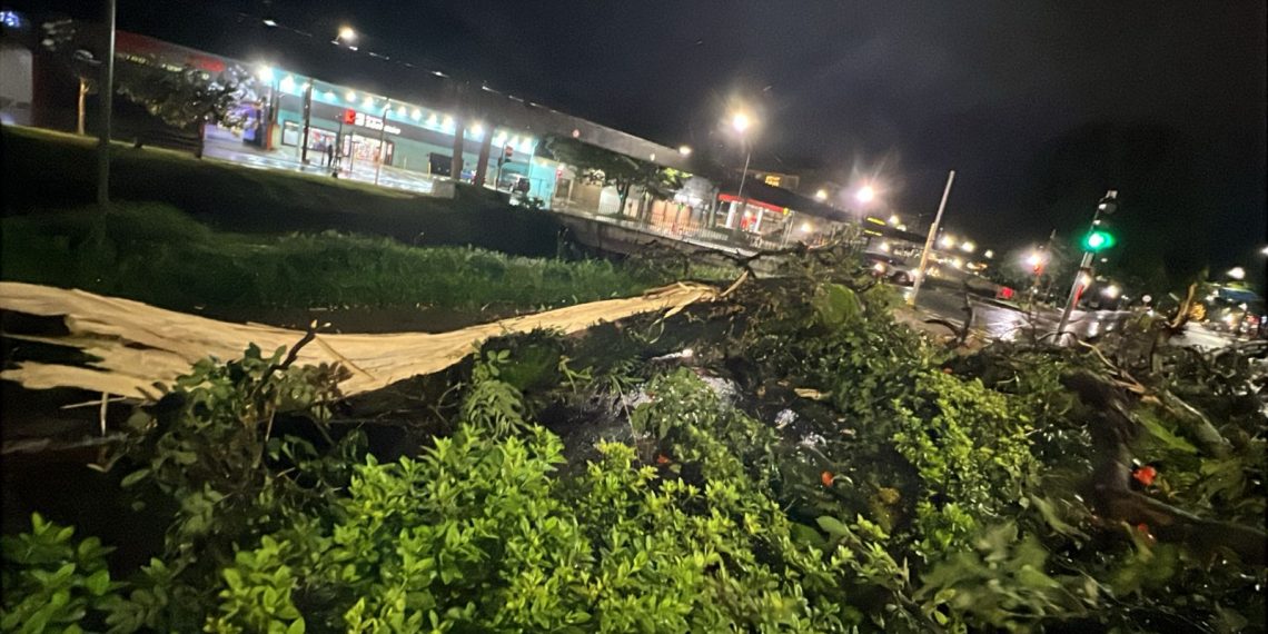 Chuva derruba árvores e causa alagamentos em Poços de Caldas