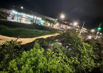 Chuva derruba árvores e causa alagamentos em Poços de Caldas