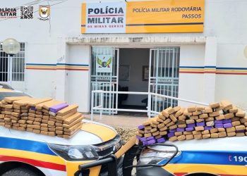 Polícia Militar Rodoviária apreende cerca de 170 Kg de maconha no sul de Minas