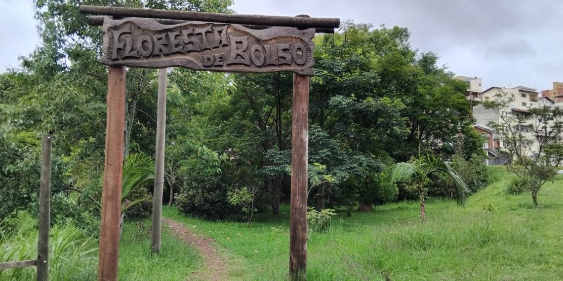 Programa Floresta de Bolso da Alcoa completa 7 anos com 2200 árvores plantadas