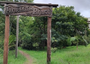 Programa Floresta de Bolso da Alcoa completa 7 anos com 2200 árvores plantadas