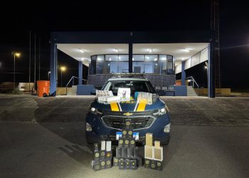 PRF apreende mercadoria importada sem nota fiscal na BR-381