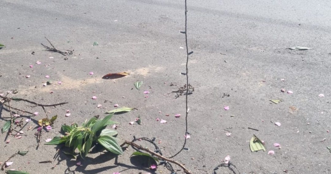 Enfeites de Natal são alvos de vandalismo em Poços de Caldas