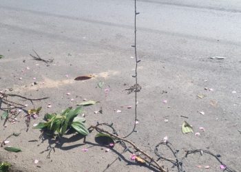 Enfeites de Natal são alvos de vandalismo em Poços de Caldas