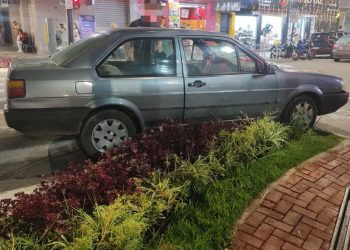 Carro invade canteiro após falha no freio no centro de Poços de Caldas