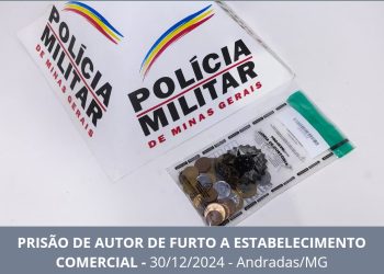 Suspeito é preso após furtar estabelecimento em Andradas