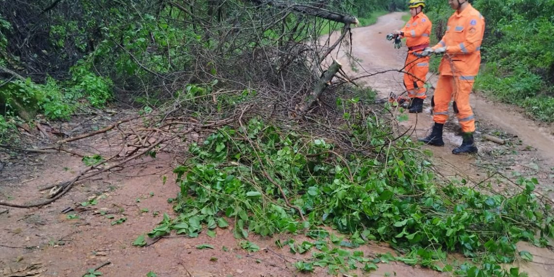 Corpo de Bombeiros é acionado após quedas de árvores causadas pelas chuvas em Poços de Caldas