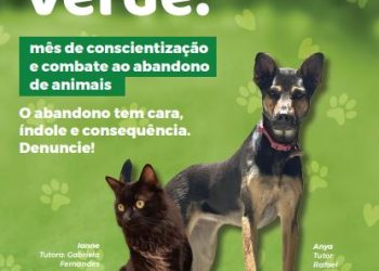Dezembro Verde: Polícia Civil lança cartilha sobre abandono de animais
