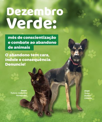 Dezembro Verde: Polícia Civil lança cartilha sobre abandono de animais