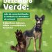 Dezembro Verde: Polícia Civil lança cartilha sobre abandono de animais