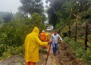 DER-MG começa ações para recuperar bueiro na MGC-459, perto da divisa de Minas com São Paulo