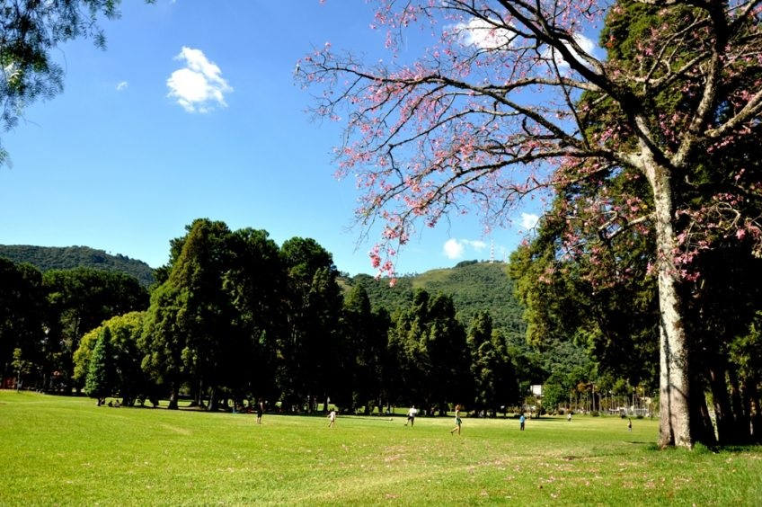 Projeto de revitalização do Parque Municipal de Poços de Caldas é divulgado, confira