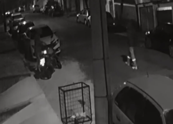 VÍDEO: dois homens são presos por furtos de motocicletas em Poços de Caldas