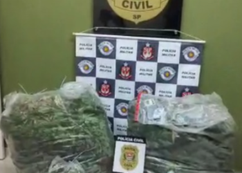 Operação Conjunta apreende mais de 70 kg de maconha entre Poços e Águas da Prata
