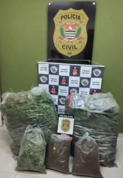 Operação Conjunta apreende mais de 70 kg de maconha entre Poços e Águas da Prata