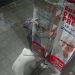 VÍDEO: ótica é furtada no Centro de Poços de Caldas
