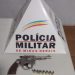 Homem é preso por porte ilegal de armas em Bandeira do Sul