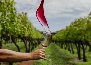 Caldas premia os melhores viticultores em concurso anual