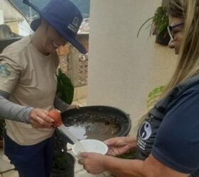 Poços de Caldas inicia levantamento de infestação pelo Aedes aegypti em janeiro de 2025