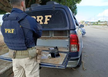 Inusitado: PRF recupera celular que já foi furtado 3 vezes