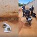 GCM prende homem que invadiu creche em Poços de Caldas